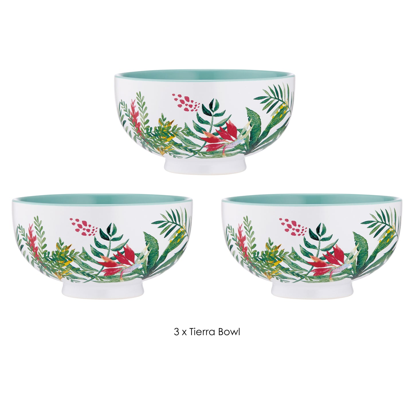 Tierra Bowl 3pk
